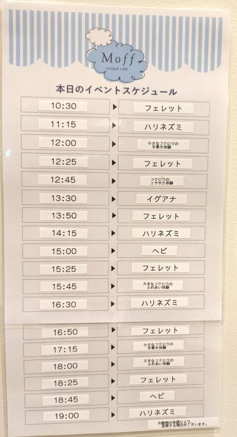 モフアニマルカフェ「マークイズ福岡ももち店」のイベントスケジュール表の画像