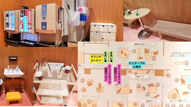 モフアニマルカフェ「ららぽーと福岡店」ドリンクコーナーやテーブルの位置画像