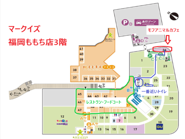 モフアニマルカフェ「マークイズ福岡ももち店」店舗3階地図