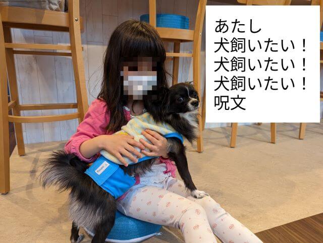 福岡県糸島市にある「1's Cafe（ワンズカフェ）」でパピヨンとチワワのミックス犬「ライナ」くんを抱っこする女の子の画像