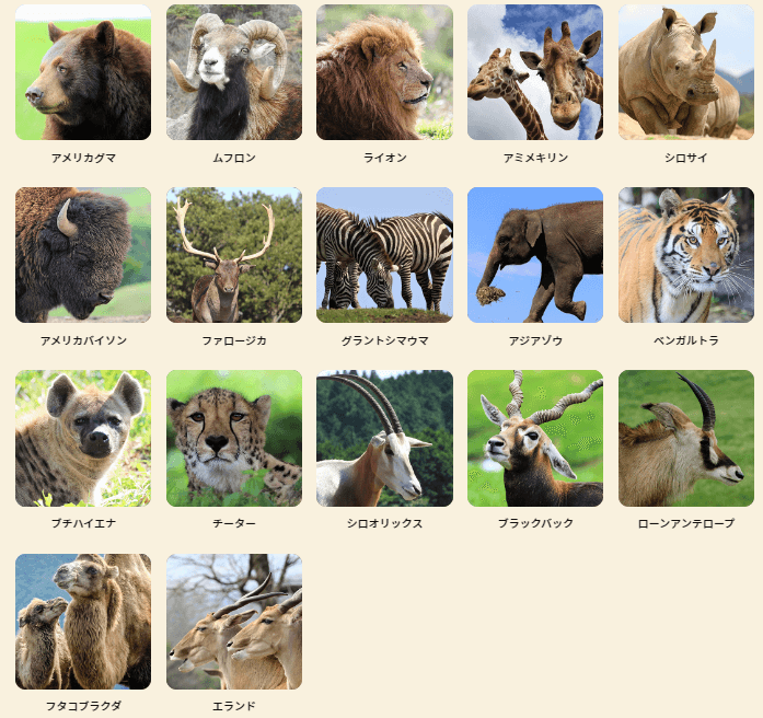 大分アフリカンサファリのサファリゾーンで出会う動物たちの一覧画像