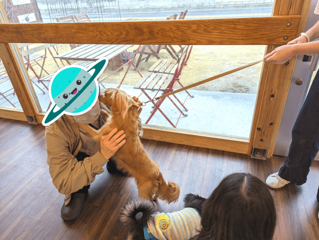福岡県糸島市にある「1's Cafe（ワンズカフェ）」で男性が好きなミックス犬のチャックちゃんが男の人に抱きついてペロペロしている画像