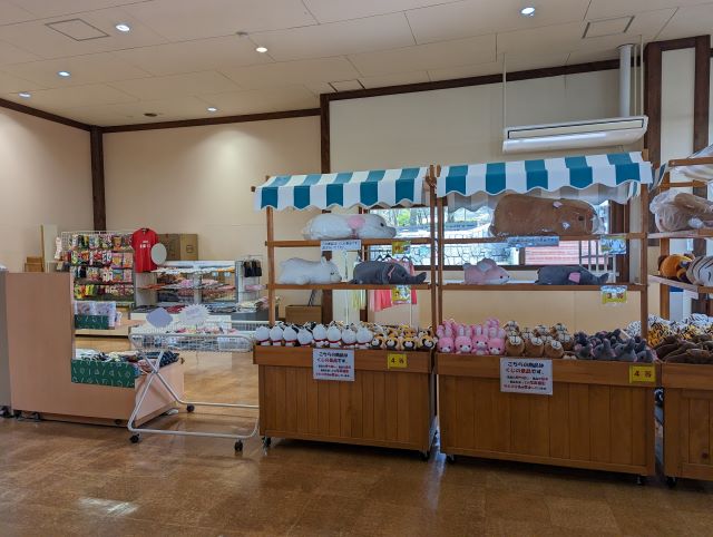 大分県にある九州自然動物公園アフリカンサファリのドッグサロン売店の画像
