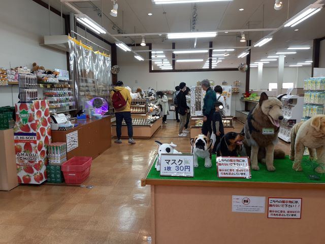 大分県にある九州自然動物公園アフリカンサファリのドッグサロン売店の画像。レジがある。