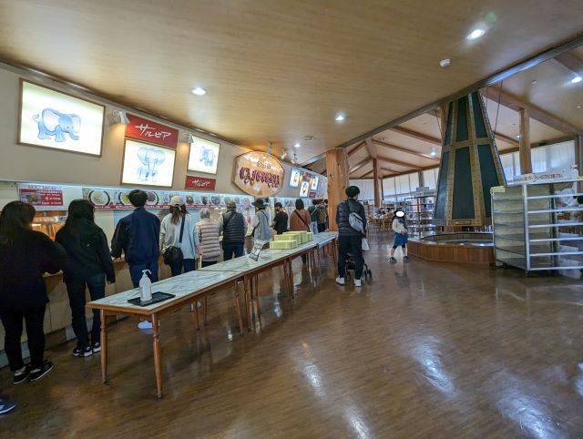 大分県にある九州自然動物公園アフリカンサファリのファミリーレストラン「サルビア」の店内画像。