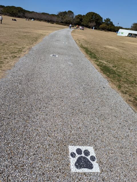 「海の中道海浜公園」の動物の森への案内用に道にプリントされた足跡画像