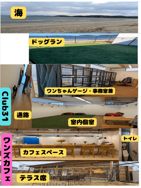 福岡県糸島市にある「Club31」と「ワンズカフェ」の配置図の画像