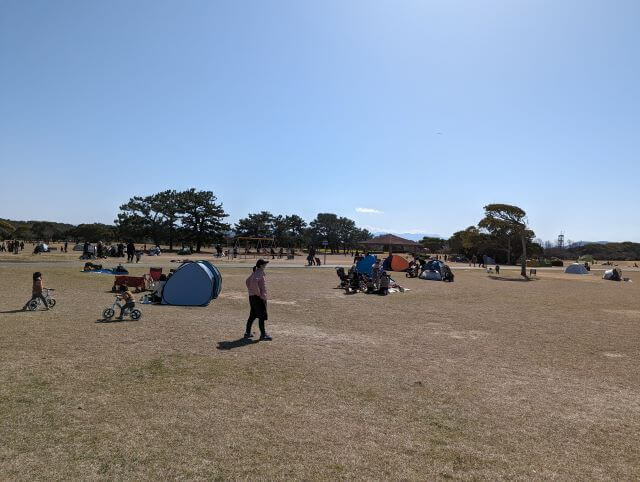 海の中道海浜公園の大芝生広場の画像。テントを利用する家族が多い。