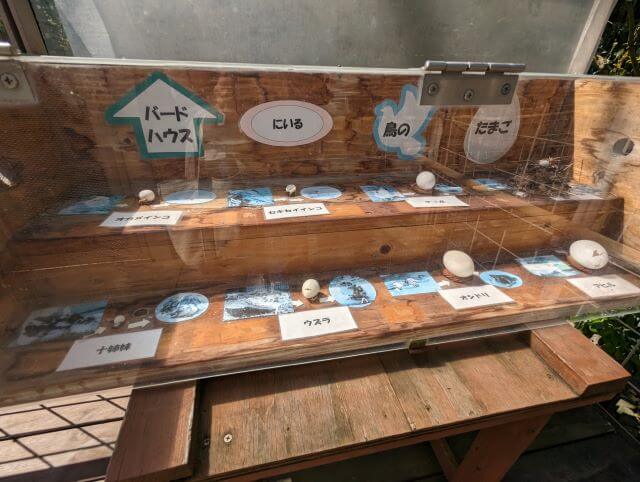 福岡県大野城市にある株式会社アシュラン本社内の「バードハウス」の鳥の卵の掲示ケースの画像