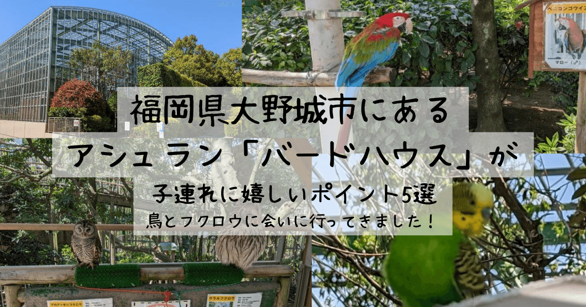 福岡県大野城市にあるアシュラン「バードハウス」が子連れに嬉しいポイント5選｜鳥とフクロウに会いに行ってきました！ブログ用アイキャッチ画像