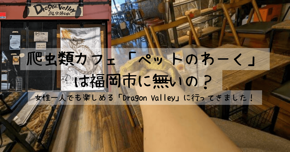 爬虫類カフェ「ペットのわーく」は福岡市に無いの？｜女性一人でも楽しめる「Dragon Valley（ドラゴンバレー）」に行ってきました！ アイキャッチ画像