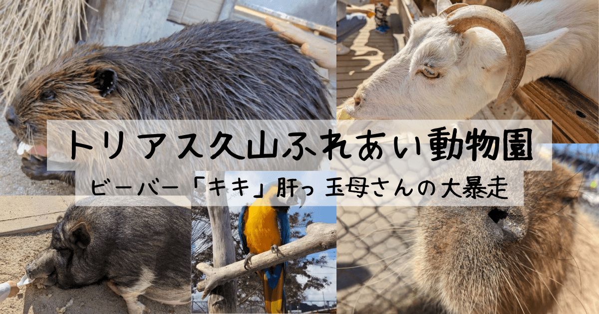 トリアス久山ふれあい動物園ビーバー「キキ」肝っ玉母さんの大暴走？ ｜ 子連れで遊びに行ってきました！アイキャッチ画像