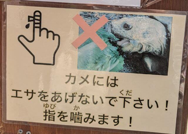 福岡県糟屋郡久山町にある「トリアスふれあい動物園」にいるケヅメリクガメにエサやり禁止の貼り紙画像