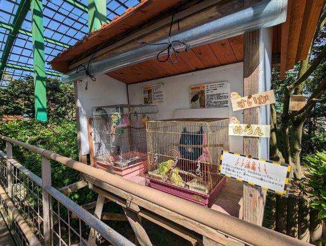 福岡県大野城市にある株式会社アシュラン本社内の「バードハウス」にいるコザクラインコとウロコインコの画像