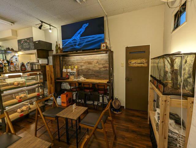 福岡市博多区にある爬虫類カフェ「Dragon Valley（ドラゴンバレー）」の店内画像（夜行性の生物がいる空間）