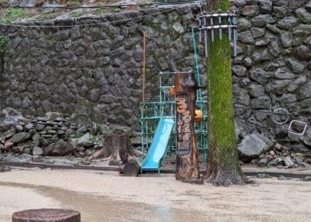 大分県にある高崎山自然動物園の雨の日の「さるの保育園」にコザルが全く来てない画像