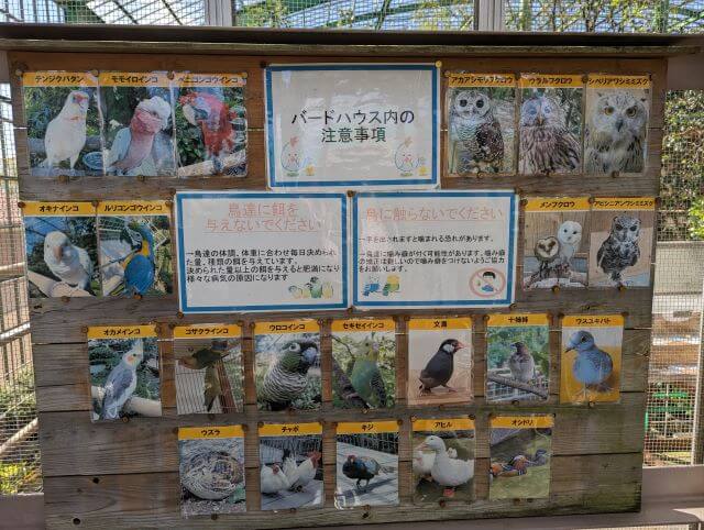 福岡県大野城市にある株式会社アシュラン本社内の「バードハウス」にいる鳥の一覧画像