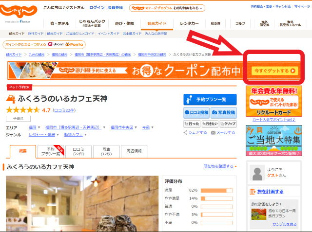 福岡県福岡市中央区今泉にある「ふくろうカフェ天神」を紹介している「じゃらん」のホームページの画像
