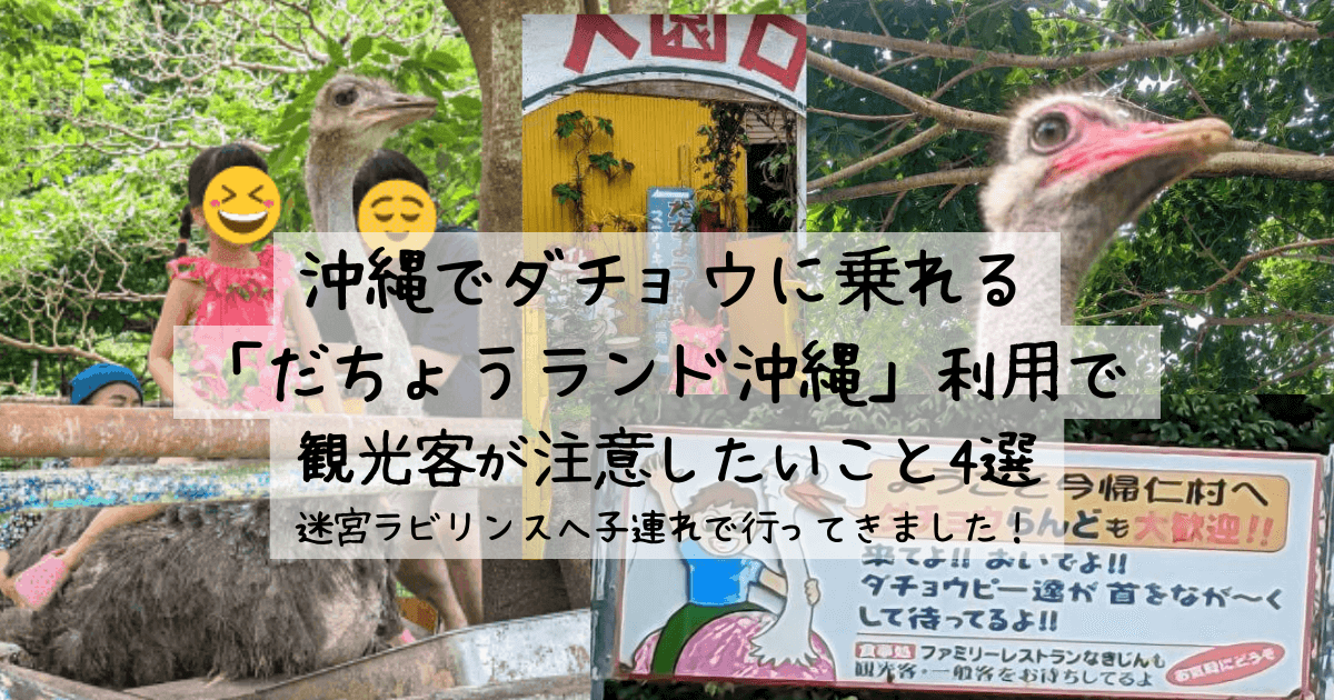 沖縄でダチョウに乗れる「だちょうランド沖縄」利用で観光客が注意したいこと4選 ｜ 迷宮ラビリンスへ子連れで行ってきました！アイキャッチ画像