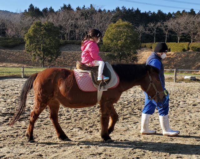 福岡市南区にある「もーもーらんど」で乗馬体験をする女の子の画像