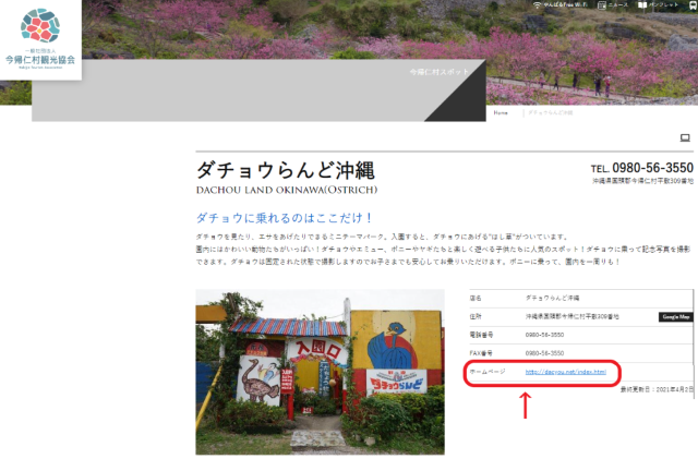 今帰仁村観光協会のホームページの画像。沖縄県国頭郡今帰仁村にある「だちょうランド沖縄」のホームページを紹介している。