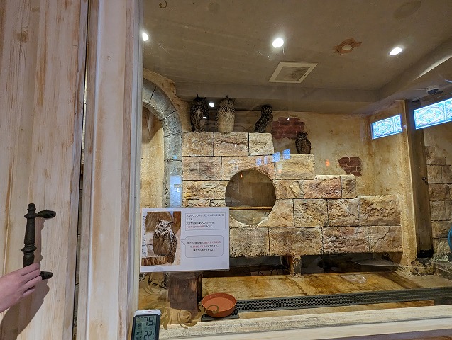 福岡県福岡市中央区今泉にある「ふくろうカフェ天神」にある放し飼いフクロウフームの画像