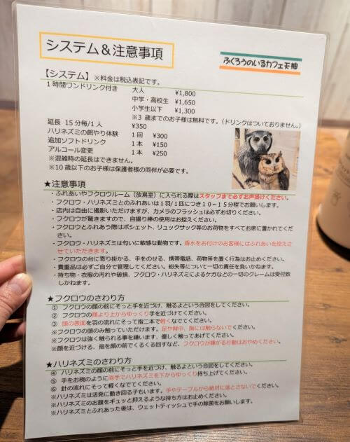福岡県福岡市中央区今泉にある「ふくろうカフェ天神」の注意事項