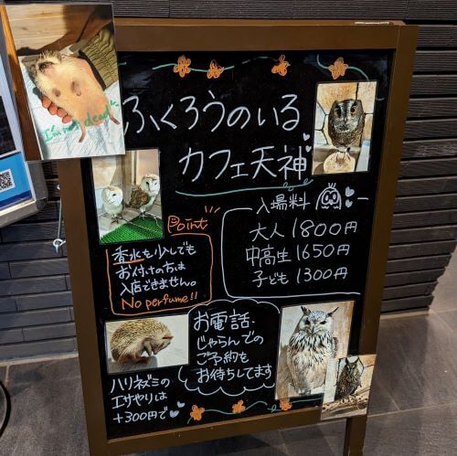 福岡県福岡市中央区今泉にある「ふくろうカフェ天神」のビル1階にある看板の画像