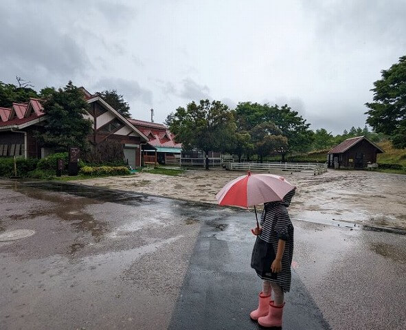 福岡市南区にある「ABURAYAMA FUKUOKA」（旧油山牧場もーもーらんど・油山市民の森）さしてのふれあい家畜舎の画像。雨の日に女の子が傘をさして立っている。