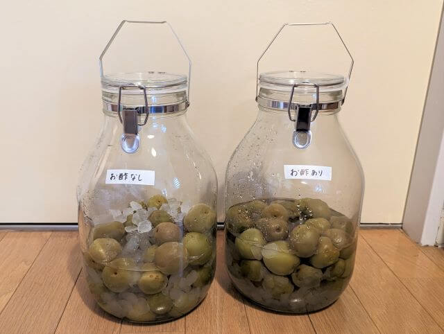 青梅と氷を入れて2日後の梅シロップの状態
右=お酢無しの容器
左=お酢ありの容器