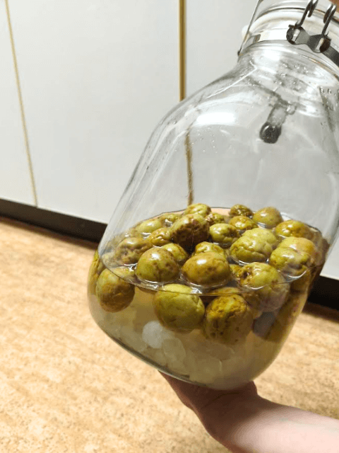 梅シロップの入った容器をゆすって回しているところ