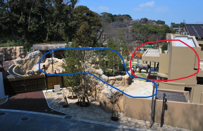 福岡市動物園に2011年に完成した新ゾウ舎の運動場の画像。臆病なゾウはなかなか運動場で遊ばなかった。