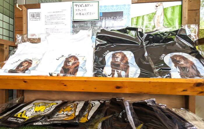 福岡市動物園のこども動物園食堂横で販売されているTシャツの画像。ライオンがプリントされている。