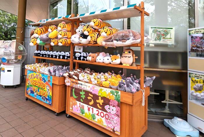 福岡市動物園のこども動物園食堂外にある「はずれなしくじ引き」でもらえるぬいぐるみの画像