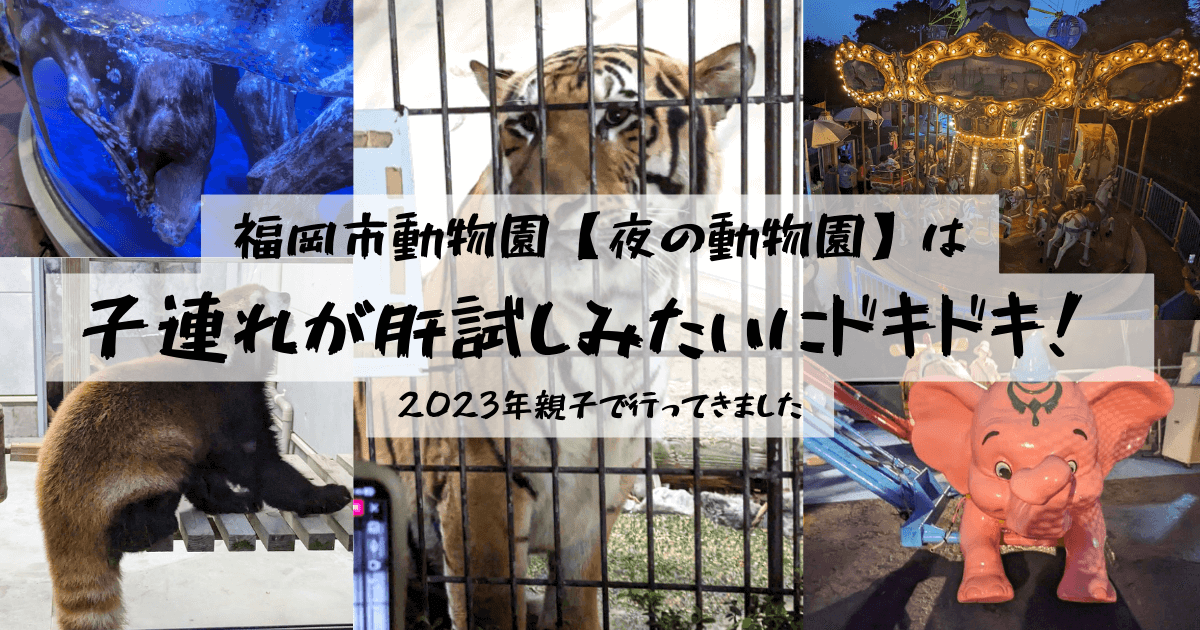 福岡市動物園【夜の動物園】は子連れが肝試しみたいにドキドキ！ | 2023年親子で行ってきましたタイトル記事のアイキャッチ画像