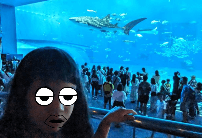 沖縄県国頭郡本部町にある美ら海水族館の水槽のジンベイザメと一緒に写真を撮る6歳の女の子の写真（浮かない顔をしている）