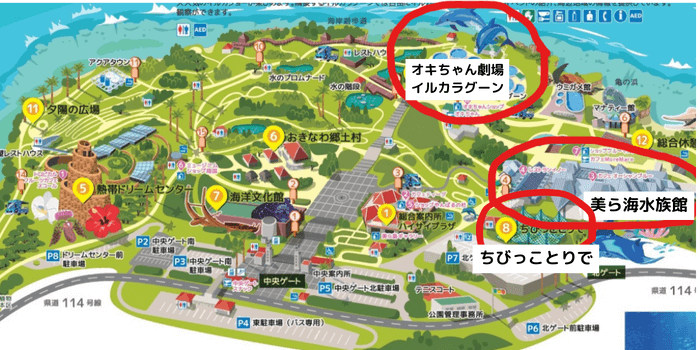 沖縄県国頭郡本部町にある「海洋博公園」の地図。オキちゃん劇場、イルカラグーン、美ら海水族館、ちびっことりでの位置関係がわかる地図。