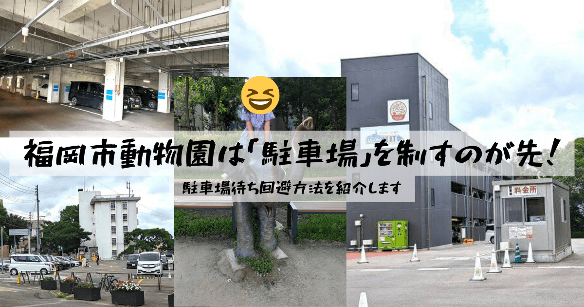 福岡市動物園は「駐車場混雑」を制すのが先！ | 駐車場待ち回避方法を紹介しますタイトル記事のアイキャッチ画像