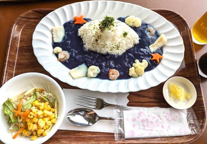 沖縄県国頭郡本部町にある美ら海水族館4階のレストラン「イノー」のディナーで実際に食べたタッチュウカレー（サラダ付き）1900円の画像。