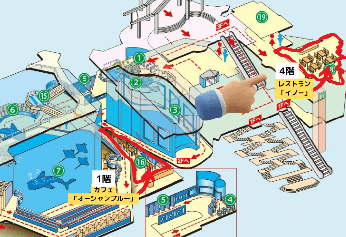 沖縄県国頭郡本部町にある美ら海水族館のフロアマップ。4階のレストラン「イノー」に指さしマークをして印をつけている。