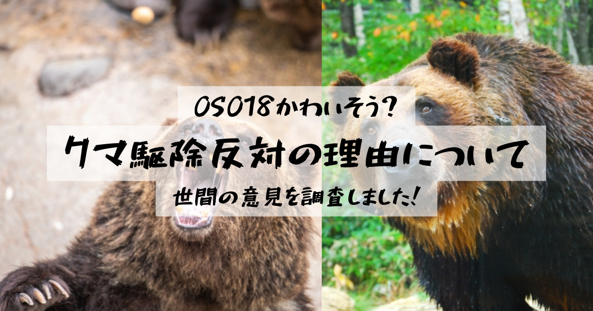 OSO18かわいそう？クマ駆除反対の理由について巷の意見を調査しました！