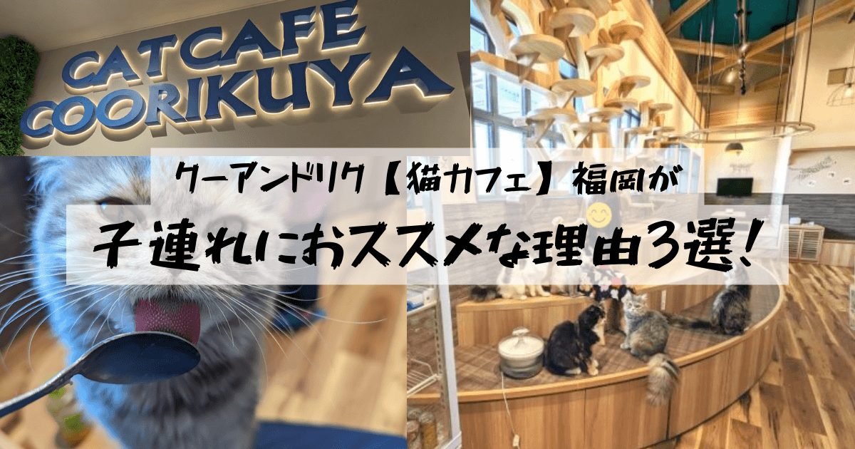 クーアンドリク【猫カフェ】福岡が子連れにおススメな理由3選！