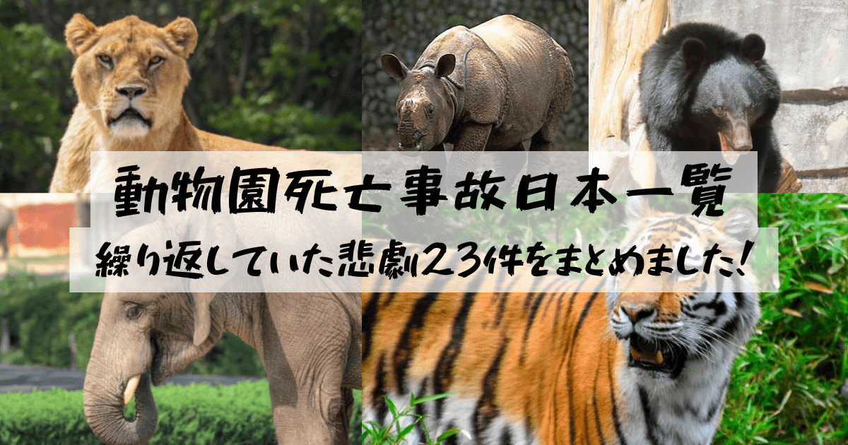 動物園死亡事故日本一覧-繰り返していた悲劇23件をまとめました！