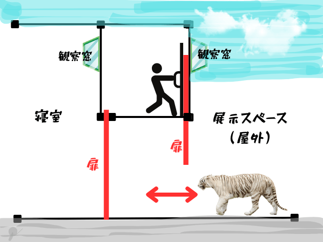 2018年に死亡事故を起こした鹿児島県にある平川動物公園のトラの寝室への誘導方法を図で解説している。
扉は上の階で、従業員が引き上げて落とす落とし扉になっており、本来はトラと人間が同じ空間にいることはないシステムになっている。