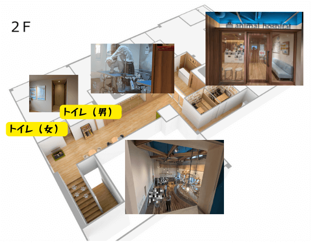 福岡市東区にあるクーアンドリクの猫カフェ「猫喫茶 空陸家plus」の２階店舗内マップ