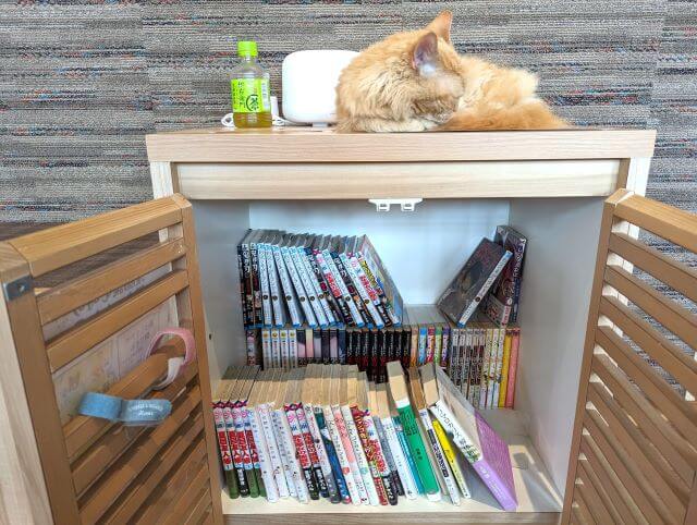 福岡市東区にあるクーアンドリクの猫カフェ「猫喫茶 空陸家plus」で無料で読める漫画本の画像。
漫画本が収納されている棚の上で茶色の猫が寝ている。