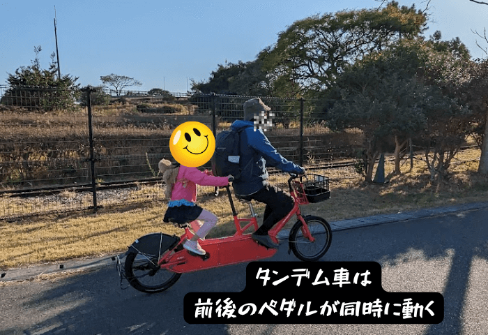 2023年11月26日日曜日、家族3人、子連れで「海の中道海浜公園」に行った時の実際の画像。
タンデム車（二人乗り自転車）に父親と６歳の女の子がサイクリングを楽しんでいる所。
タンデム車（二人乗り）は前後のペダルが同時に動く。