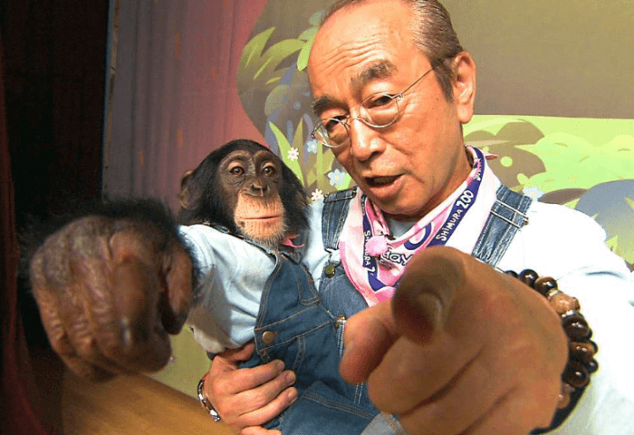 志村どうぶつ園事故を起こしたパンくんの現在は⁉【2024年